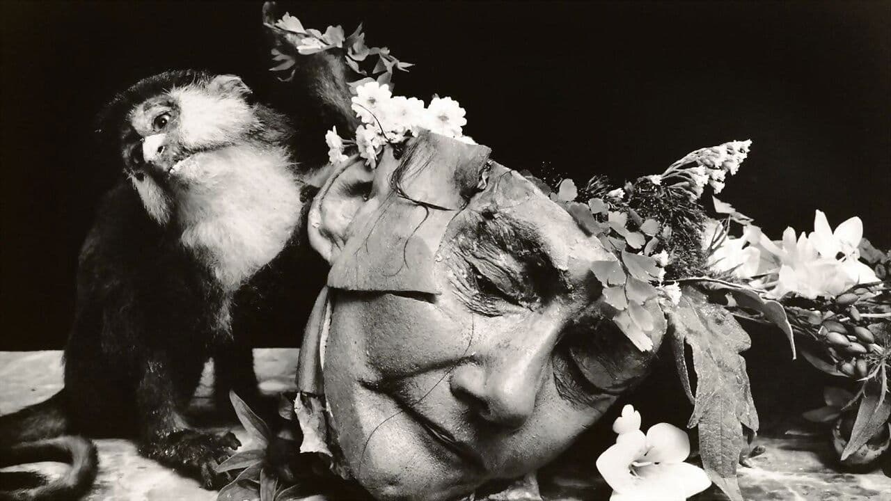 Witkin & Witkin