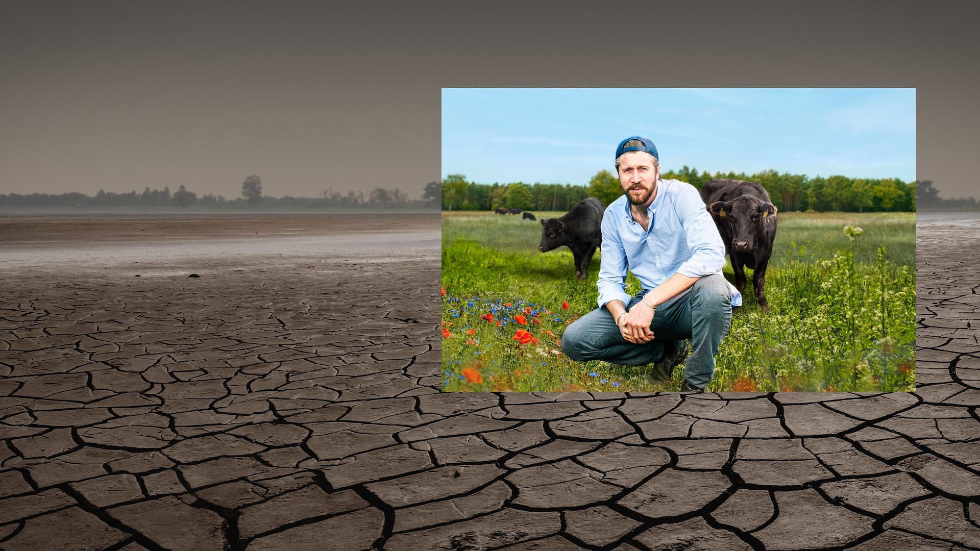 Farm Rebellion: Tarımda Devrim