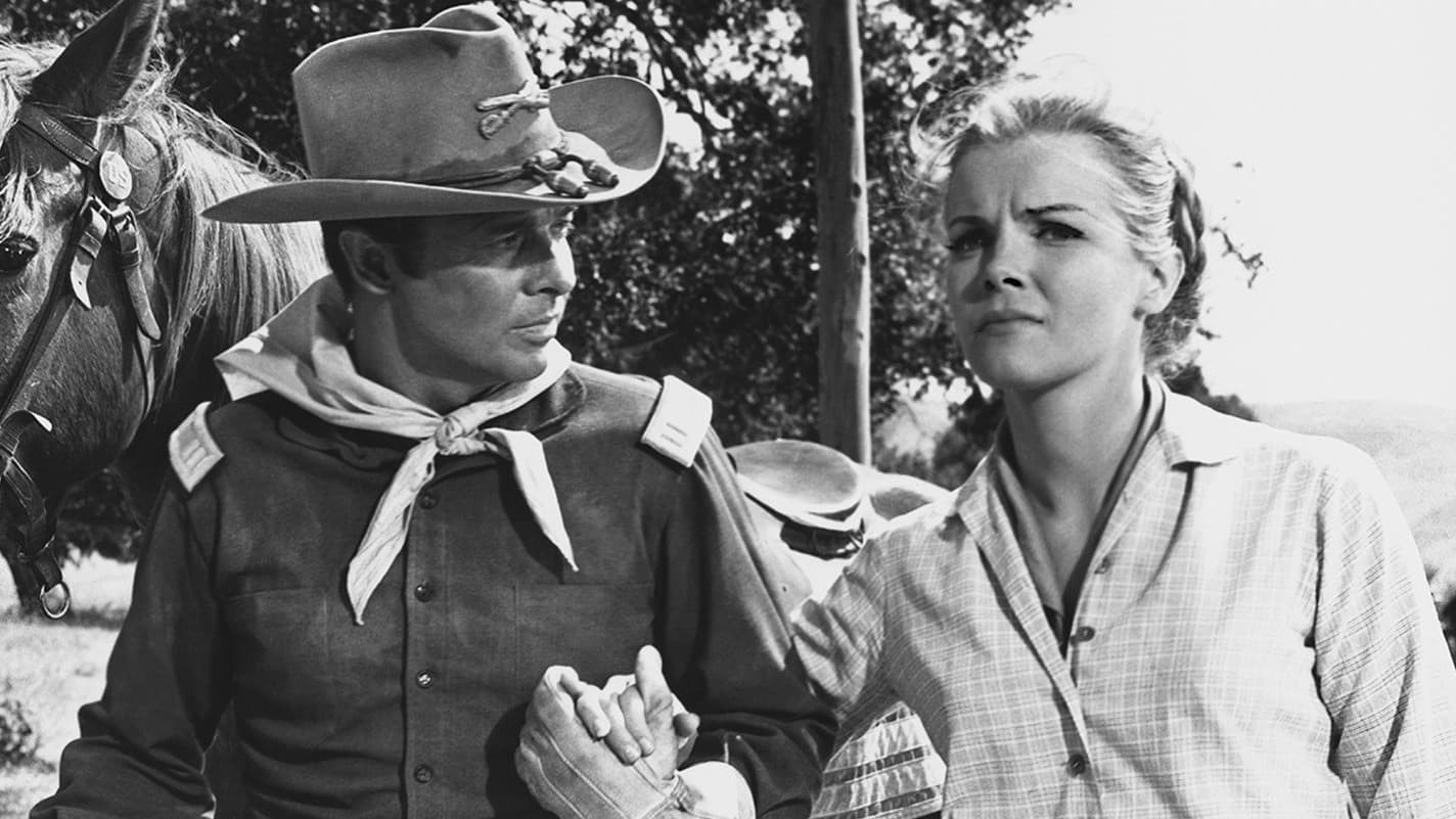 Apaçi Geçidinde 40 Tüfek