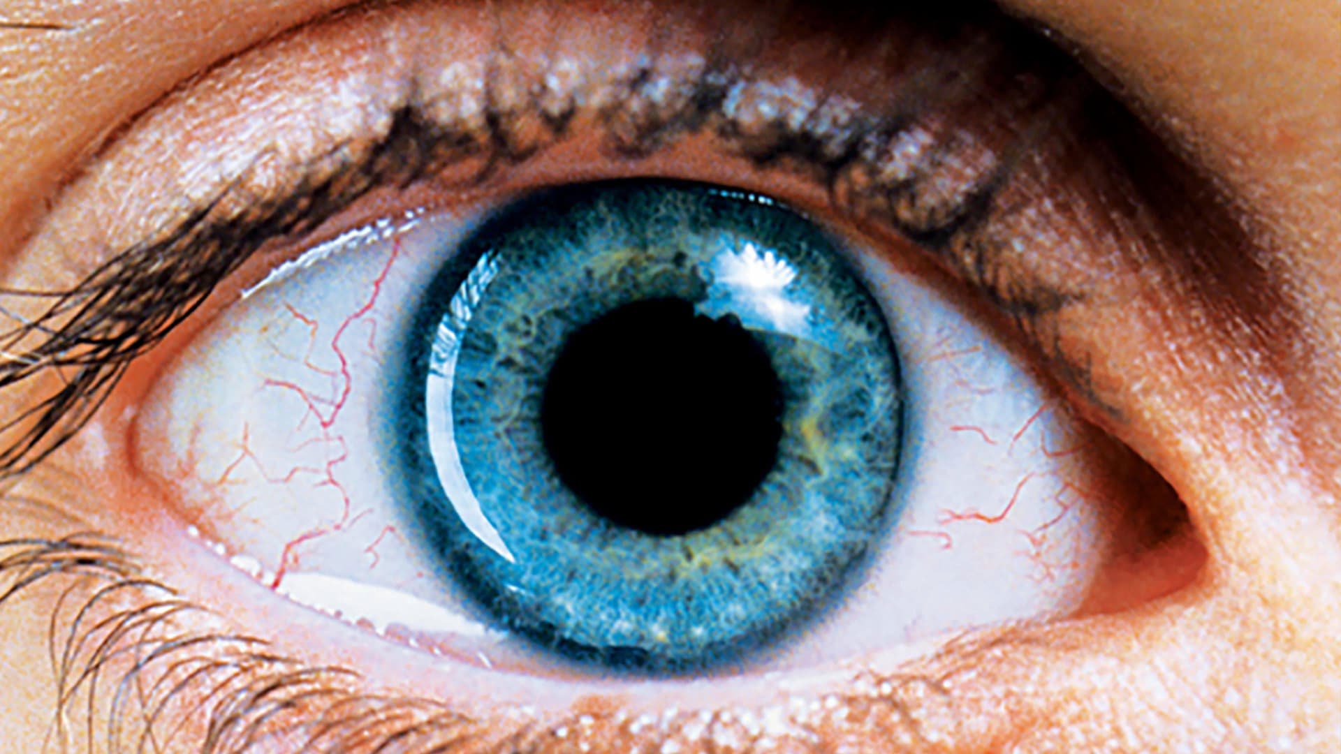 Bir Rüya İçin Ağıt