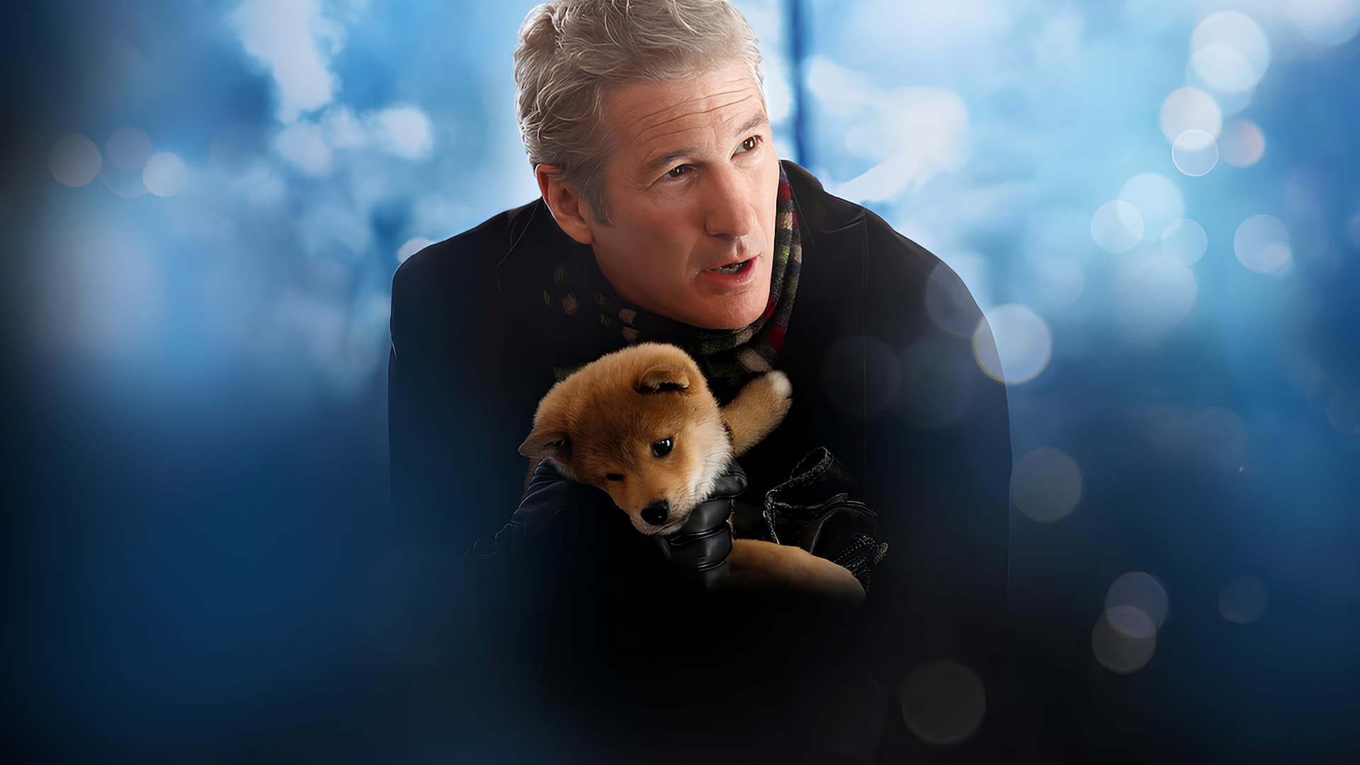 Hachi: Bir Köpeğin Hikayesi