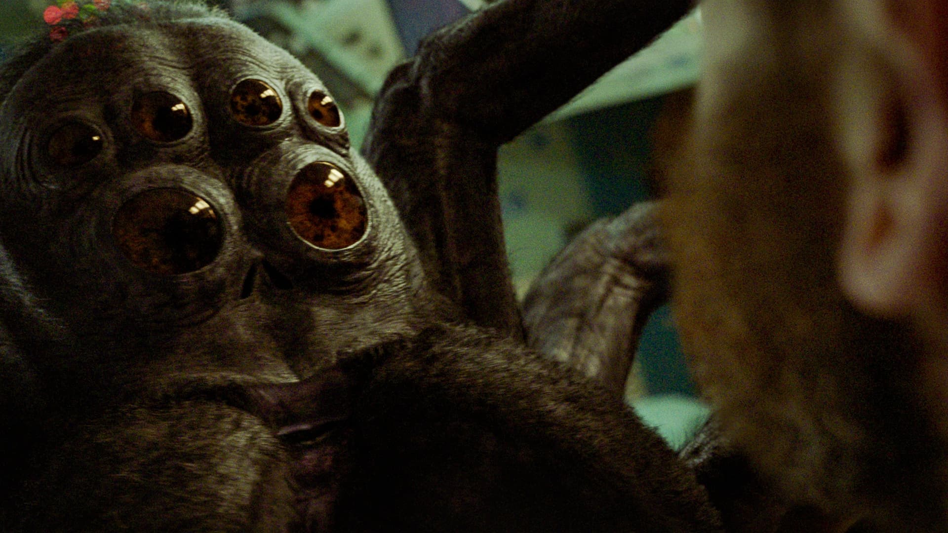 Bir Astronotun Sonsuz Yolculuğu