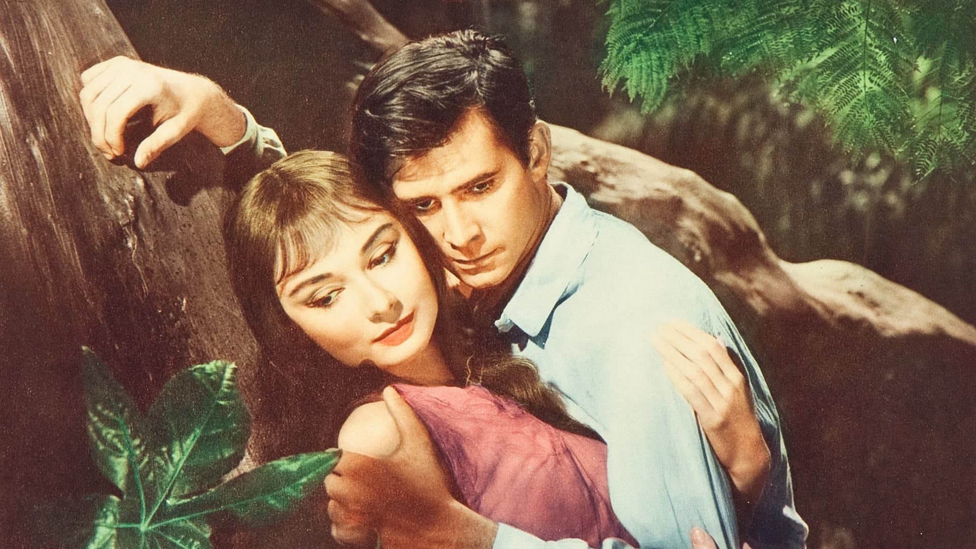 Yeşillikler İçinde