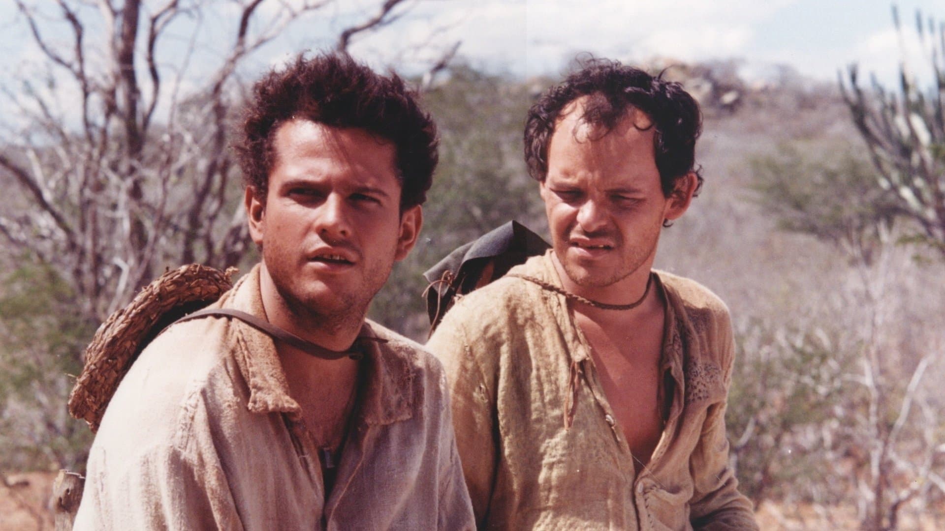 Bir Köpeğin Vasiyeti