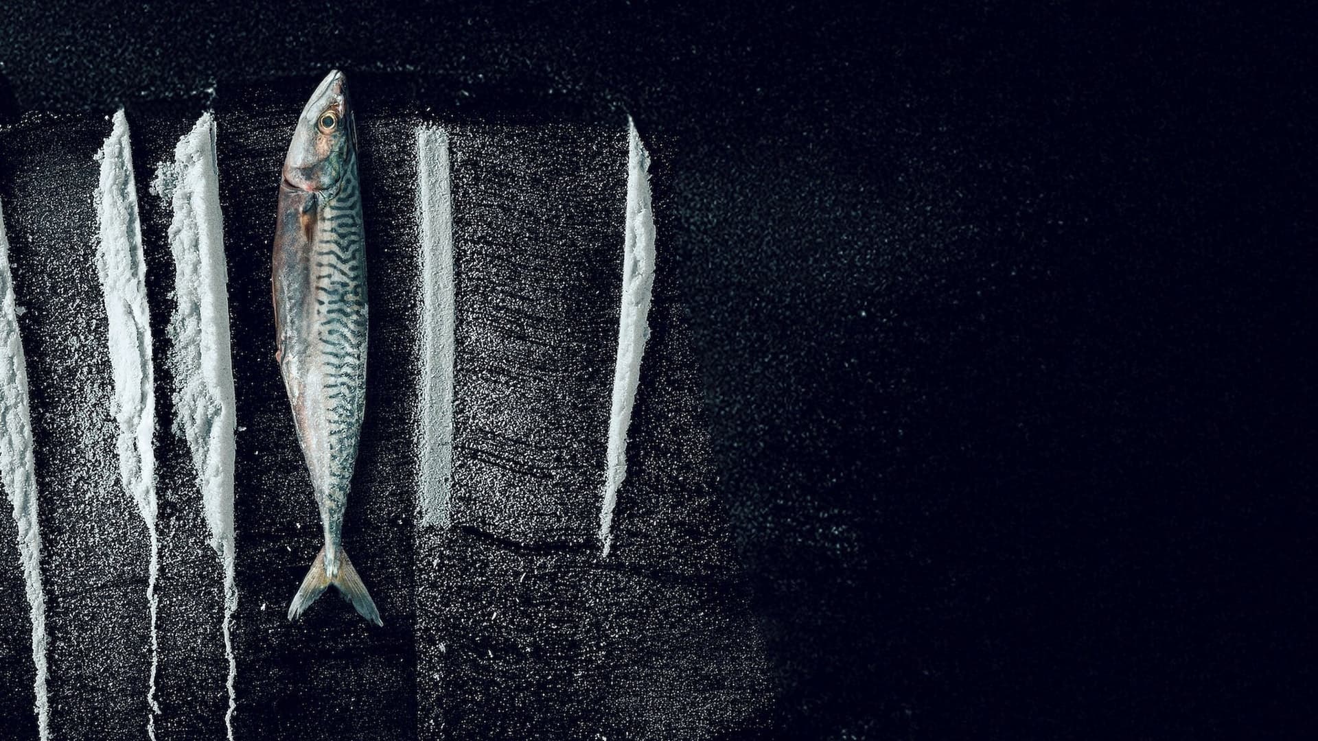 Bir Adanın Kaderini Değiştiren Kokain