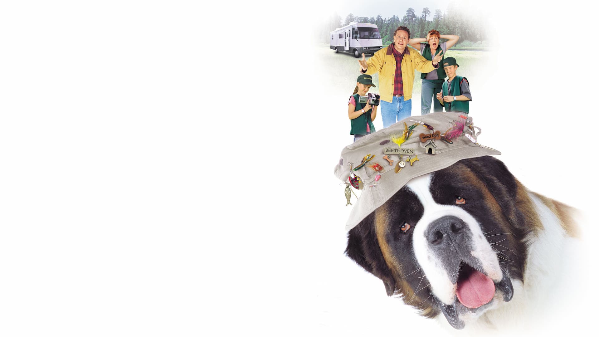 Afacan Köpek Beethoven 3