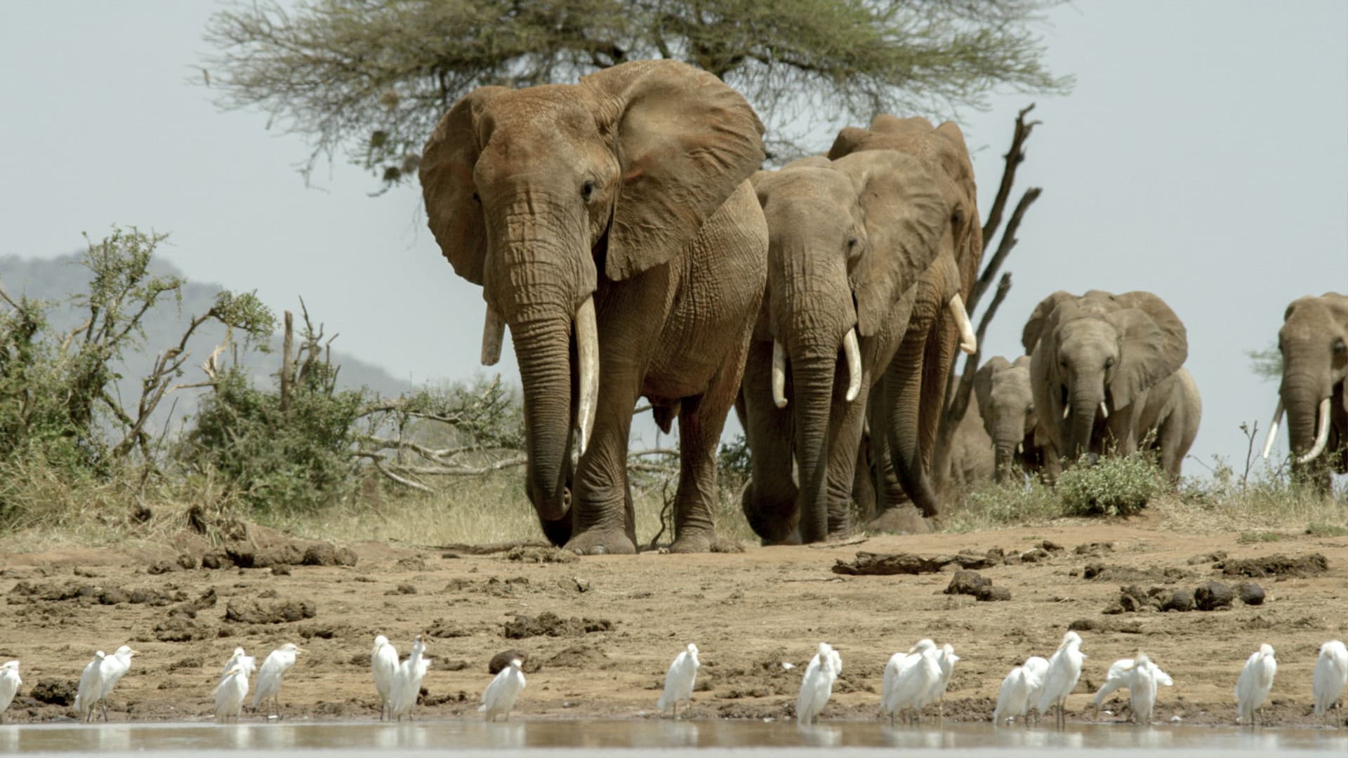 Kenia - Eine Oase im Sand