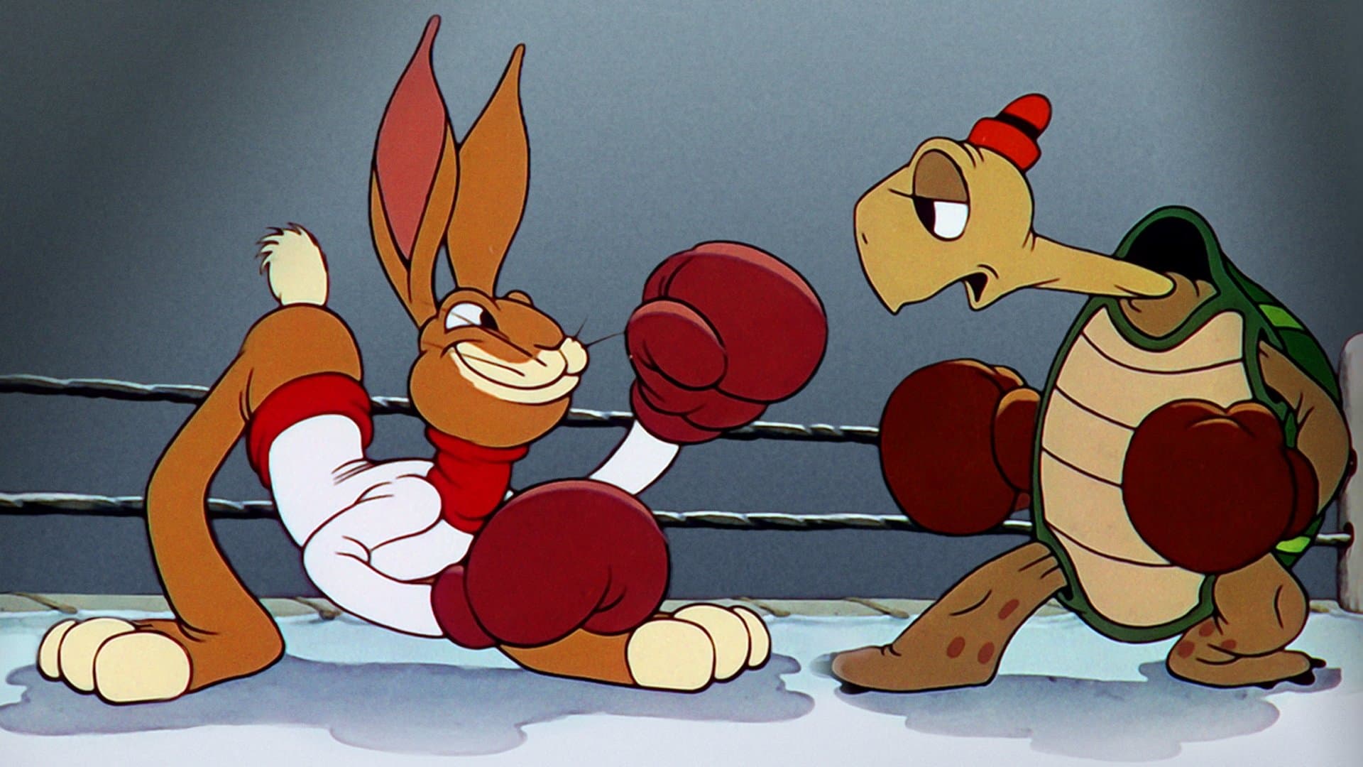 Kaplumbağa Toby Dönüyor