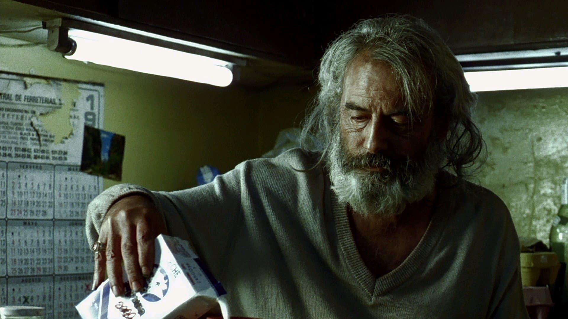 Paramparça Aşklar Köpekler