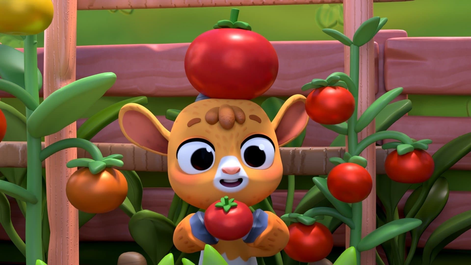 Afacanlar İş Başında