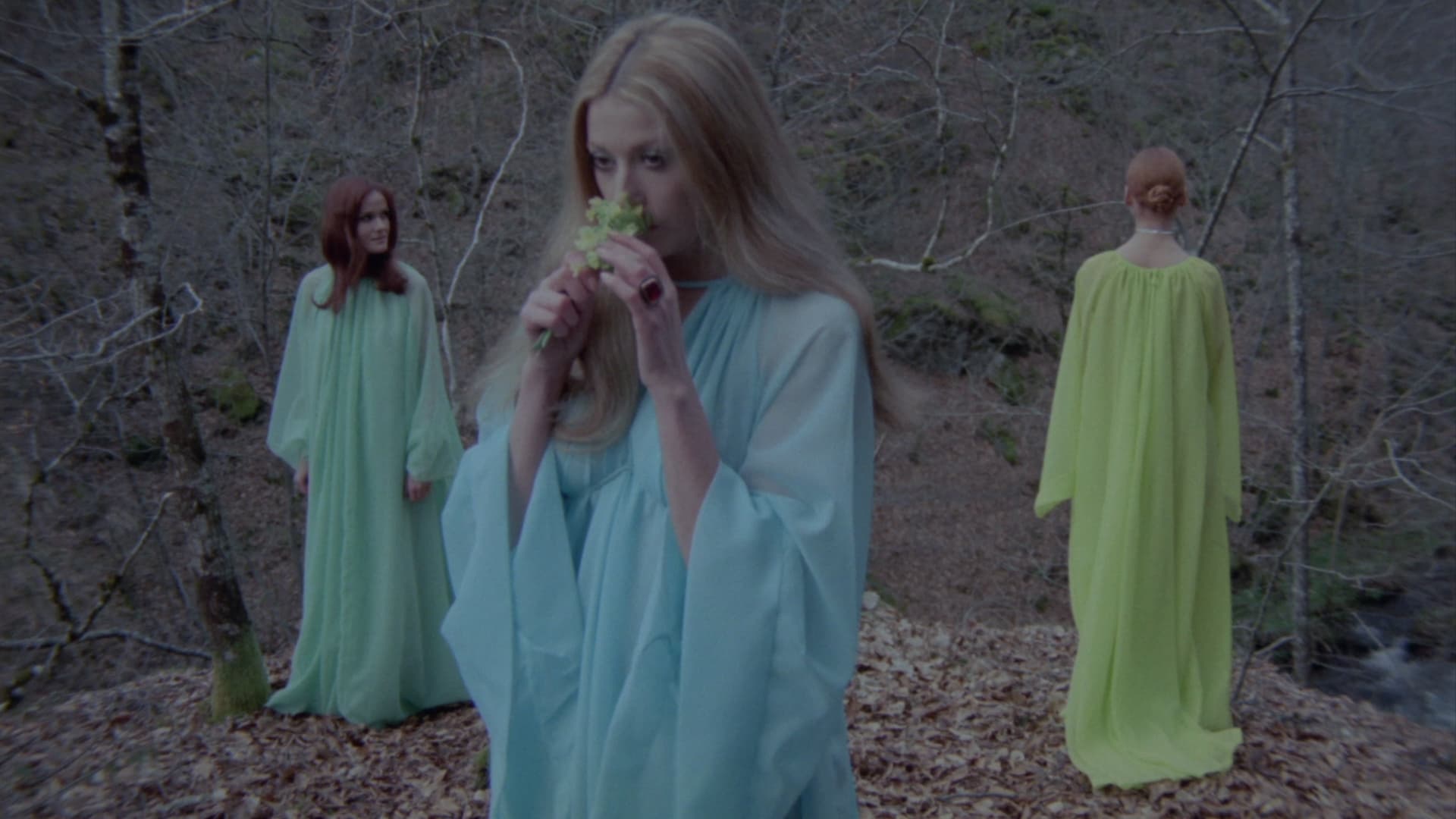 Morgane et ses nymphes