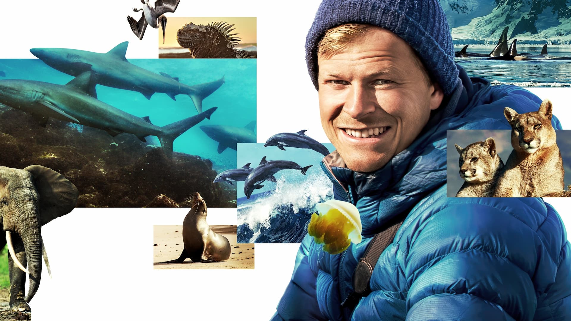 Bertie Gregory ile Hayvanlara Yakından Bakış