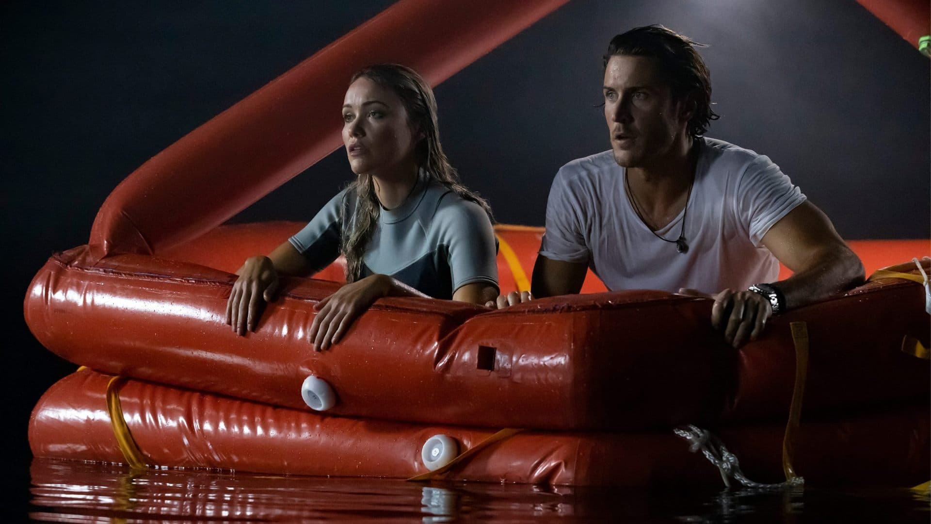 Beyaz Köpekbalığı