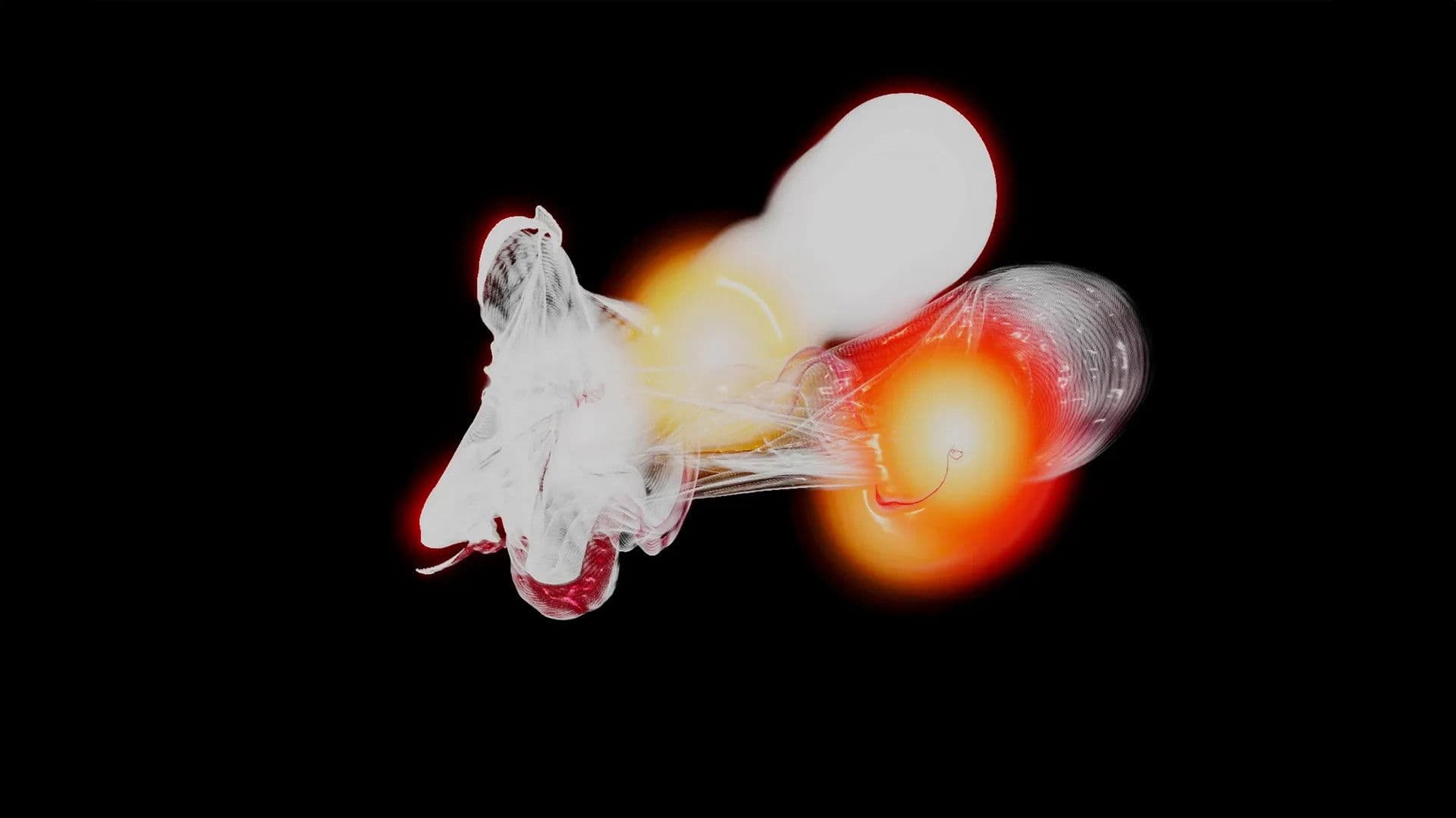 Un vocabulari per al futur