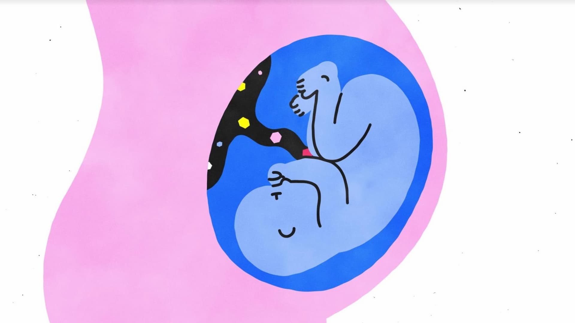 Seks, Açıklıyoruz