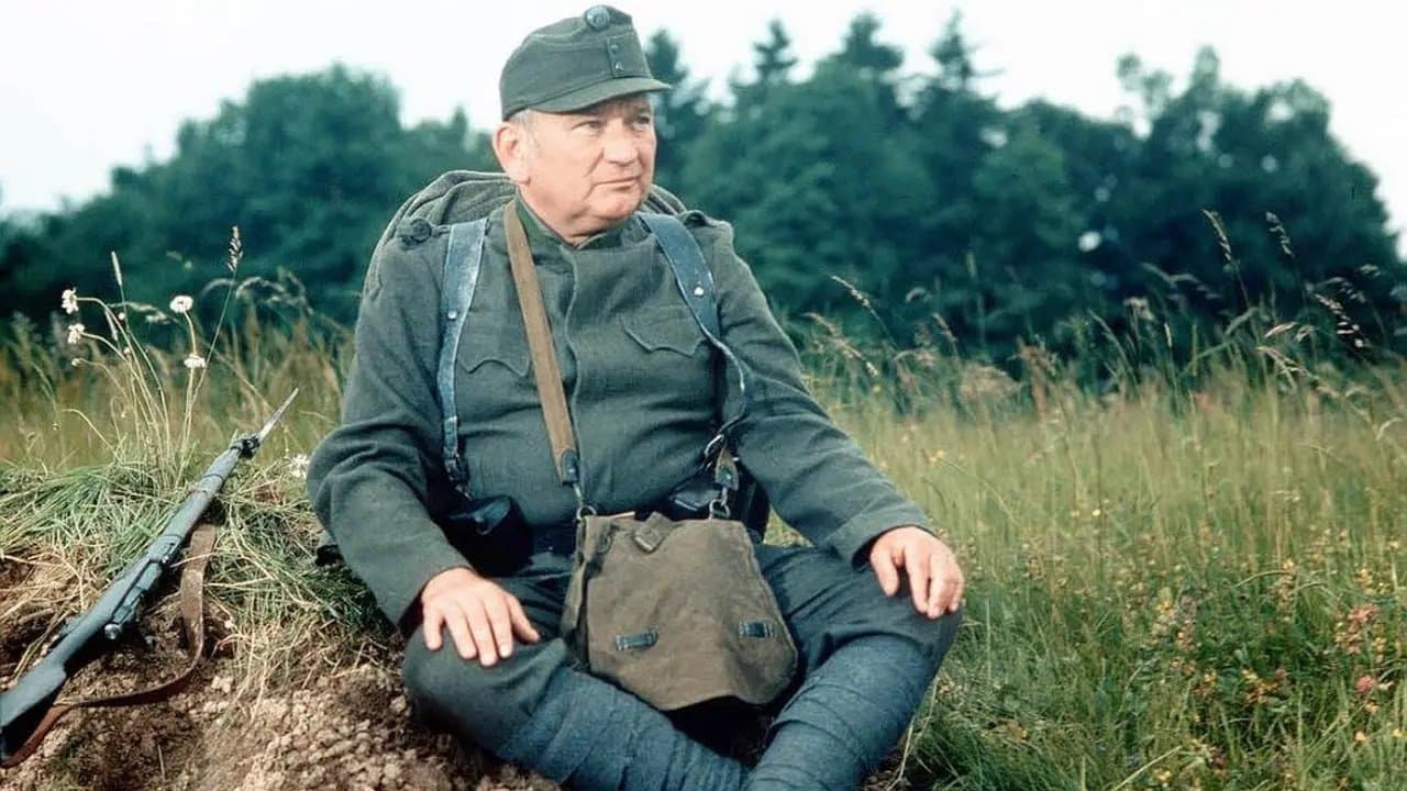 Die Abenteuer des braven Soldaten Schwejk