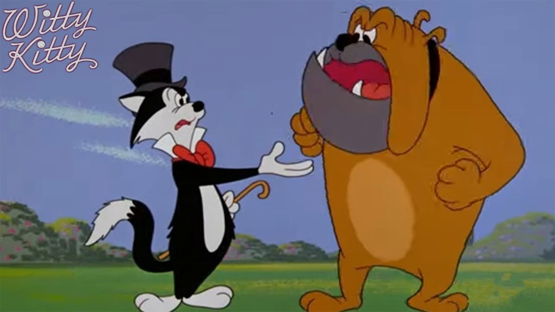 Witty Kitty