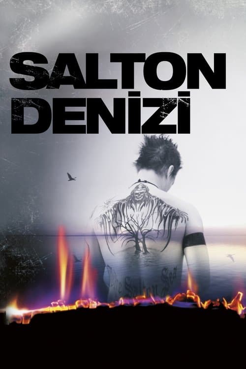 Salton Denizi