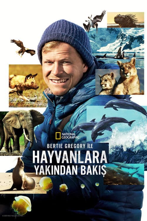 Bertie Gregory ile Hayvanlara Yakından Bakış
