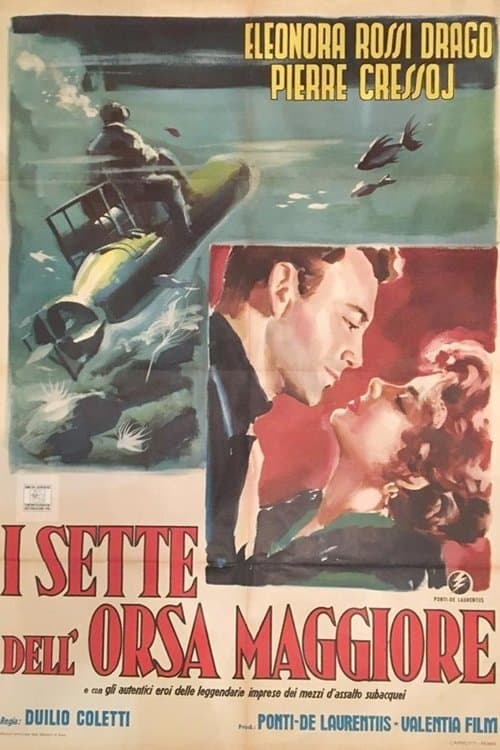 I sette dell'orsa maggiore