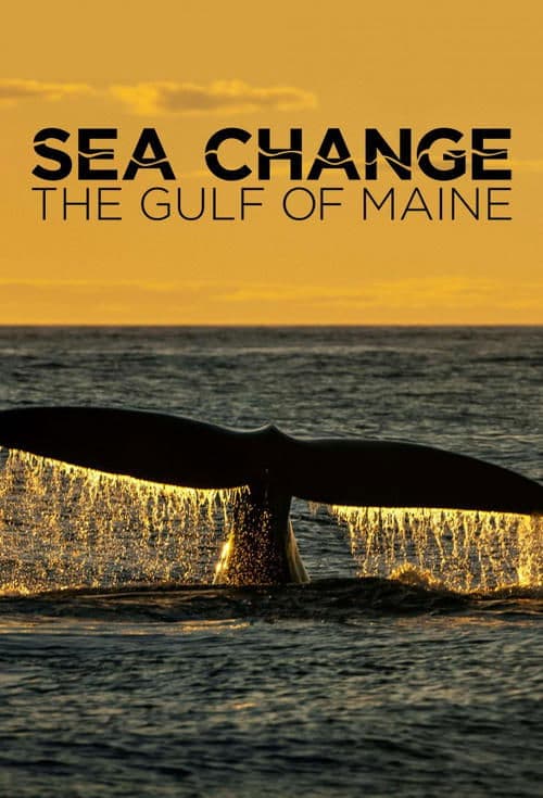 Sea Change: The Gulf of Maine